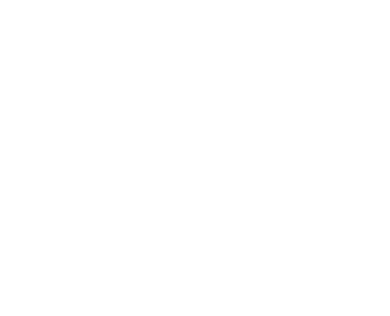 Flibe Energy company logo